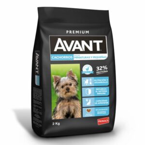 Avant Cachorro Raza pequeña y miniatura