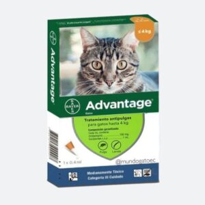 Advantage Gato