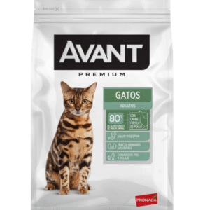 Avant Gato