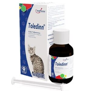 Toledinn