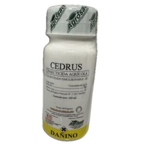 Cedrus