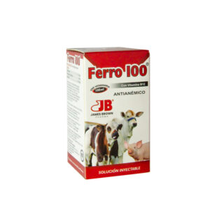 Ferro 100