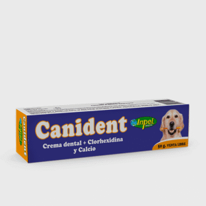 Canident