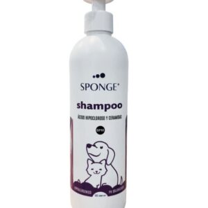 Shampoo Sponge